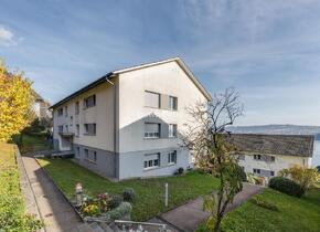 Weitblick über den Bielersee - Ihr neues Zuhause