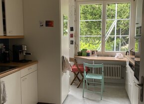 2 Zimmer in Wollishofen (Juli bis Mitte August)