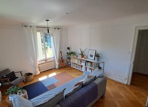 Geräumige 4-Zimmer-Wohnung in Luzern, komplett...