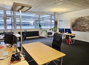 Möbliertes Büro in Zürich-Binz zu vermieten mit Option...