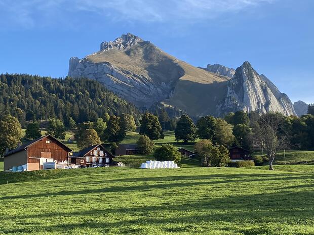 Swiss Mountain Retreat
Yoga & Wandern 4. - 13....