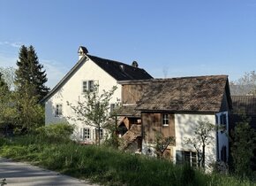 1 - 2 Mitbewohnis gesucht in altem Bauernhaus in  Zürich...
