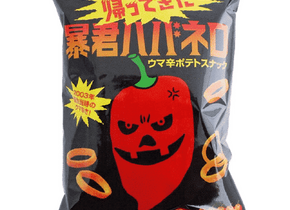 Roxy Japanische Snack Chips