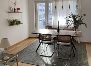 Herzige Wohnung in Zürich Wiedikon für 2 Monate