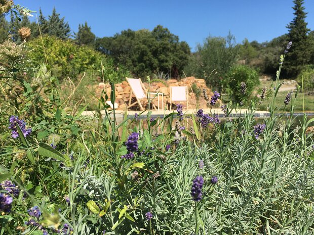 Last Minute Juni-Angebot 10% Reduktion
Provence, Au petit olivier: charmante Ferienwohnung