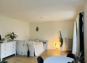 Little 1.5-room Bijou in Zurich (available approx. from...