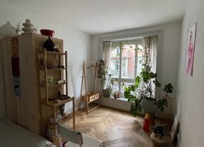 Gemütliches Zimmer/cosy room