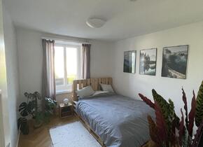 Möblierte 5-Zimmer Wohnung in Zürich Enge zur...