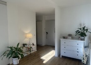 1.5 Apartment in Zurich City (available from 23.7 until...