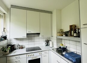 1.5 Apartment in Zurich City (available from 23.7 until...