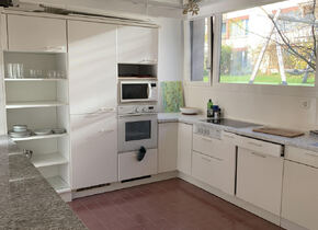 Schöne helle und grüne Büroräume mit Küche, eigenem...
