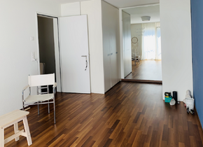 Helle 3.5 Zimmer Wohnung (möbliert) für 4 Monate zur...