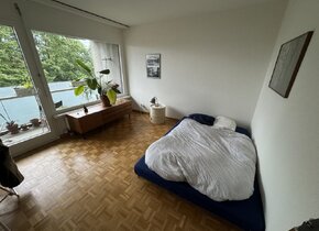 Befristetes Zimmer in 3er-WG in Wipkingen (02.8.-30.09.24)