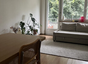 Furnished flat to sublet in August