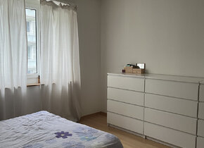 Furnished flat to sublet in August