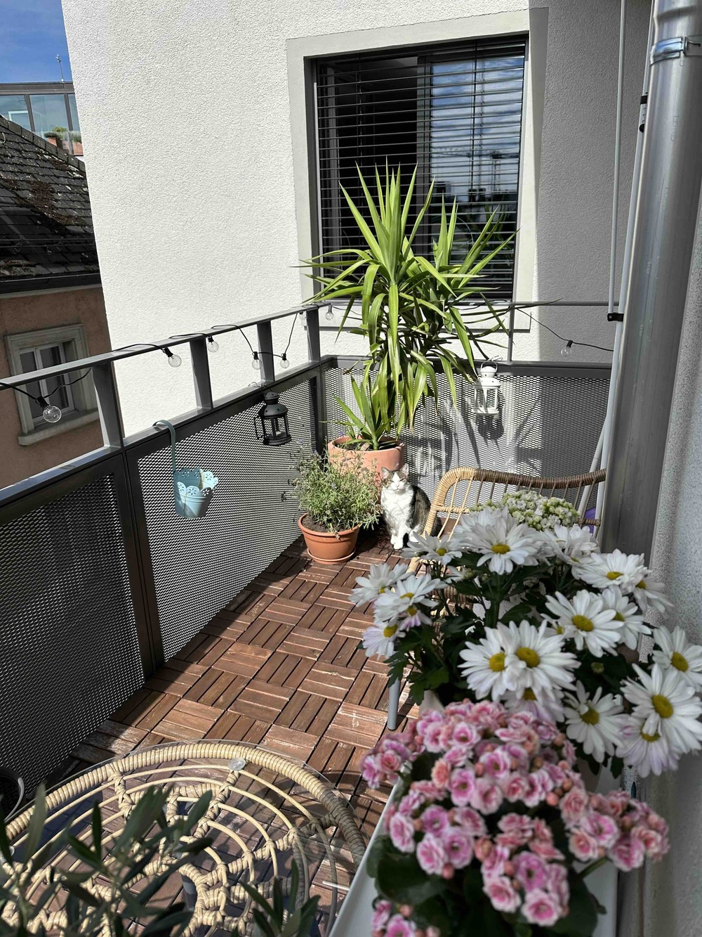 Moderne 3,5-Zimmer-Wohnung in Zürich zur...