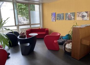 Büro-/Praxisräumlichkeiten an bester Lage im Berner...