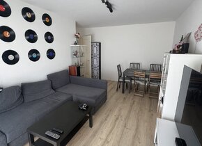 Looking for a tenant for my furnished 2-room apartment...