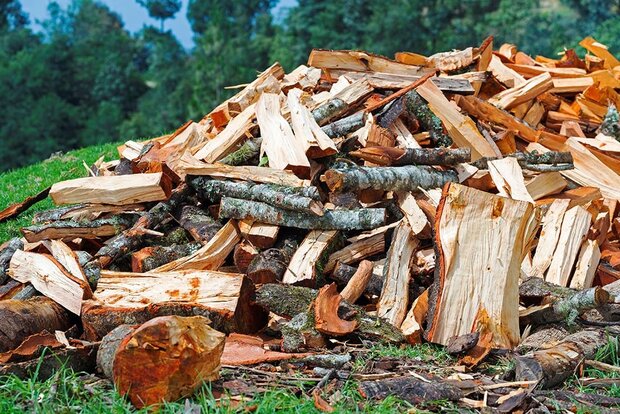 Sonstiges Holz, Buche Brennholz von ausgezeichneter...