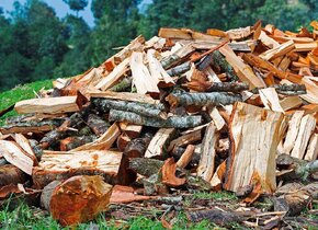 Sonstiges Holz, Buche Brennholz von ausgezeichneter...