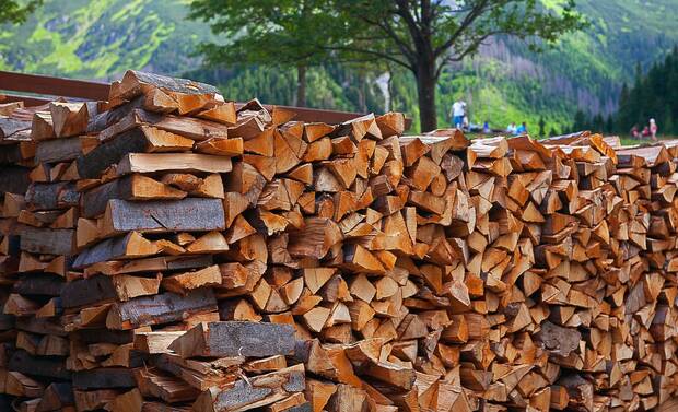 Sonstiges Holz, Buche Brennholz von ausgezeichneter Qualität