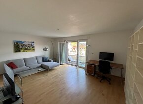 Beautiful 4 bedroom, fully furnished apartment in Zurich...