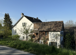 Space in WG-Haus am grünen Stadtrand