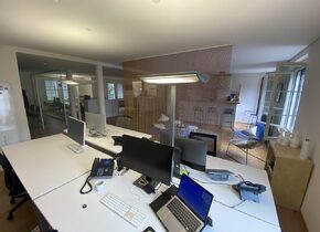 Schönes Büro im Zürcher Seefeld, 1-6 oder 12 Plätze