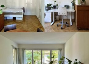 Schöne 1.5 Zimmer-Wohnung nahe Marzili an ruhiger Lage...