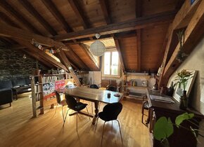 Wunderschöne Loft-Wohnung in der Länggasse