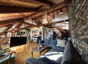 Wunderschöne Loft-Wohnung in der Länggasse