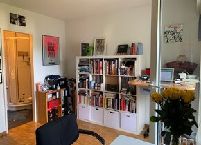 Schöne 1 Zimmer Wohnung in Wipkingen zur Untermiete