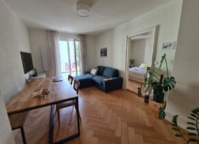 3.5 room flat in Zurich Enge