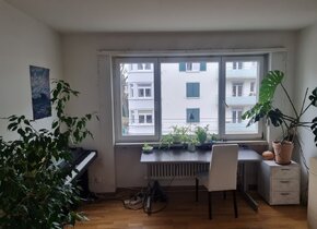 Möblierte 1-Zimmer Wohnung in Wiedikon (20.-29. August...