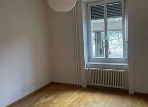 Flatmate for Bright 3-Bedroom Apartment near Hardbrücke...