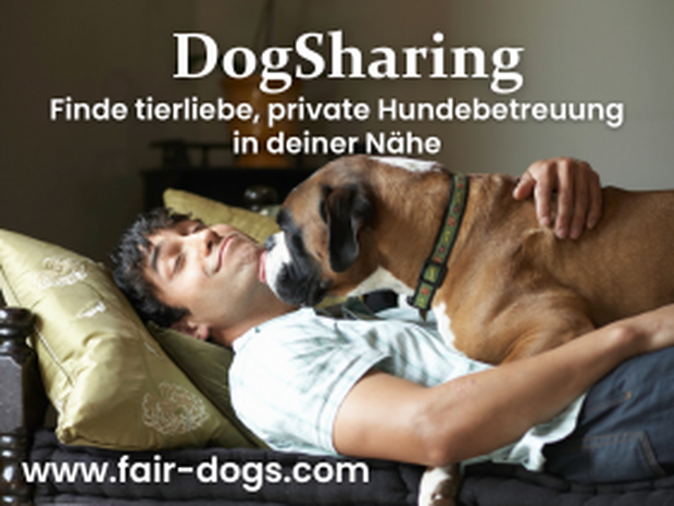 Private Hundebetreuung mit Herz