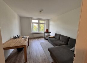 4th floor 3 room downtown Zürich apartment with park views