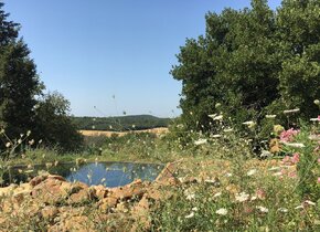 *Provence im Herbst: Sommer verlängern*