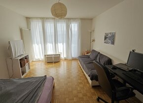 1,5 Zimmer (Studio) nähe See in Wollishofen