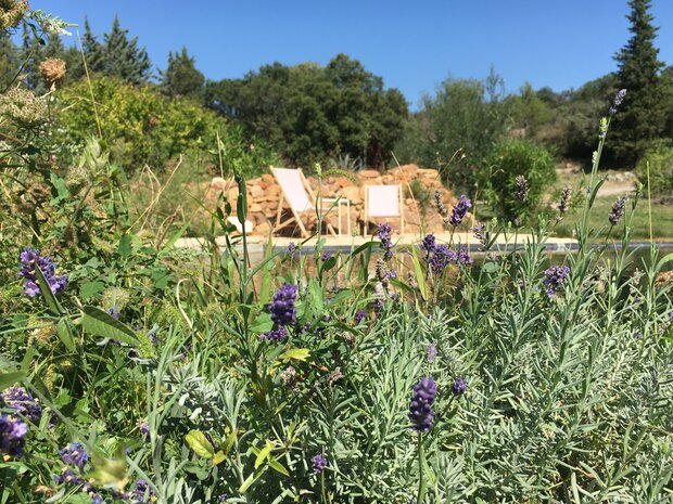 Provence - Sommer verlängern