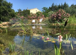 Ferienwohnung Provence, verlängerter Sommer