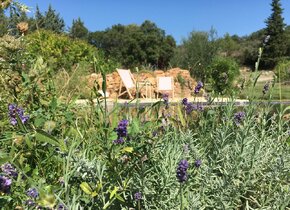 Ferienwohnung Provence, verlängerter Sommer