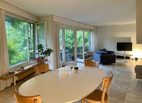 Mitbewohner für Traumwohnung am Zürichberg gesucht!