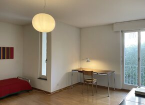 Mitbewohner für Traumwohnung am Zürichberg gesucht!