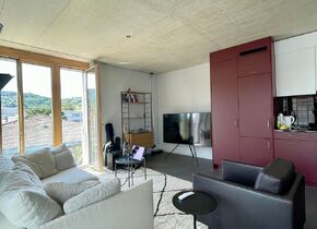 Sublet from 5.9.24 - 1.1.25 - New 3.5 - Room Apartment...