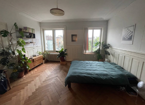 Furnished appartment in the city center during Nov - Dec