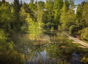 Shinrin-Yoku im Park Seleger Moor, Rifferswil