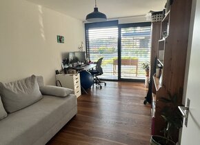 Moderne lichtdurchflutete 4.5 Zimmer Wohnung