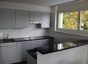 3 ½ Zimmer Wohnung in 8057 Zürich / Oerlikon zu...