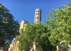 Spätsommer in der Provence!